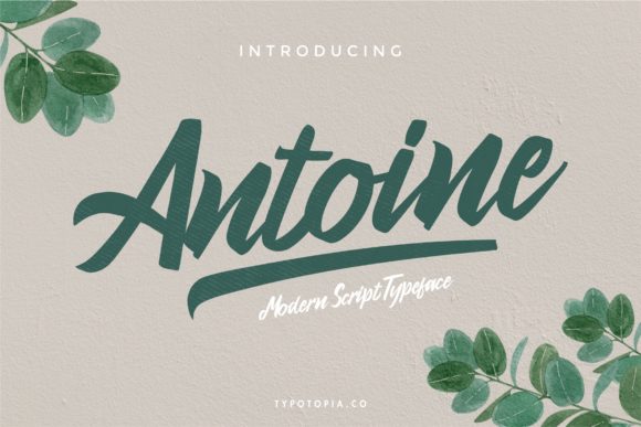 Antoine: A Premium Script Font for Digital Branding