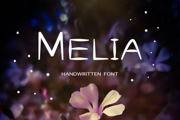 Melia: A Designer’s Honest Review for Real Projects